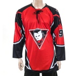 ice hockey jersey, ice hockey shirts, team ice hockey jersey